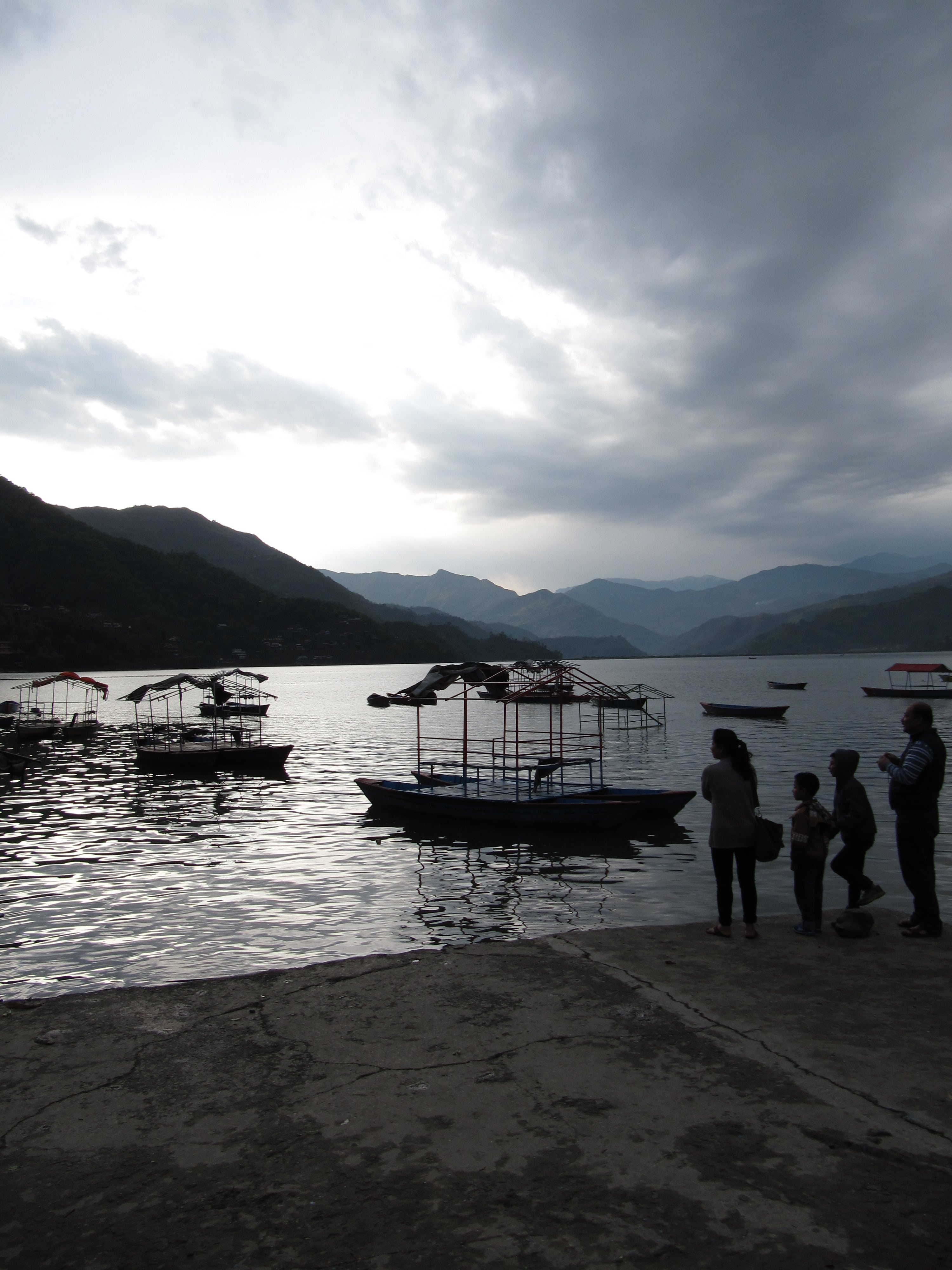 FEWA See.jpg